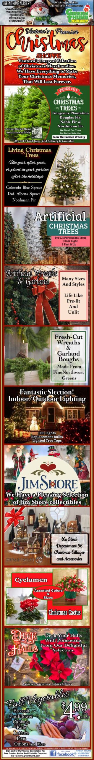 A picture of a christmas tree in a magazine.