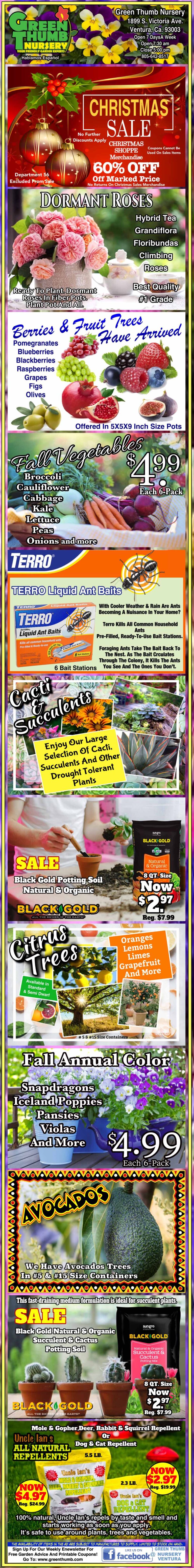 Colorful vertical advertisement with various sections promoting a Christmas plant sale, discounts on roses, fruit trees, succulents, garden supplies, and avocados at Laguna Hills Nursery.
