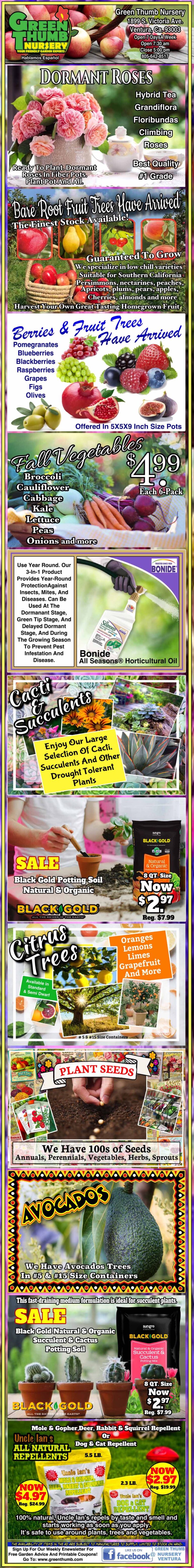 A poster with a lot of different pictures on it.