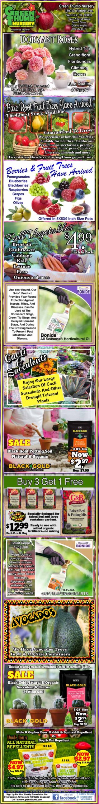 A poster with a lot of different pictures on it.