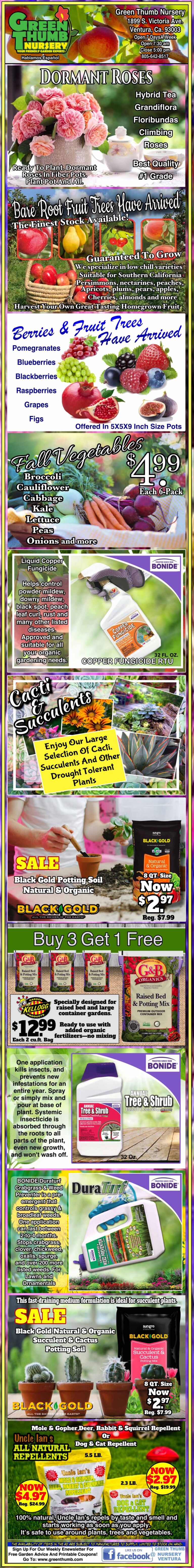 A poster with a lot of different pictures on it.