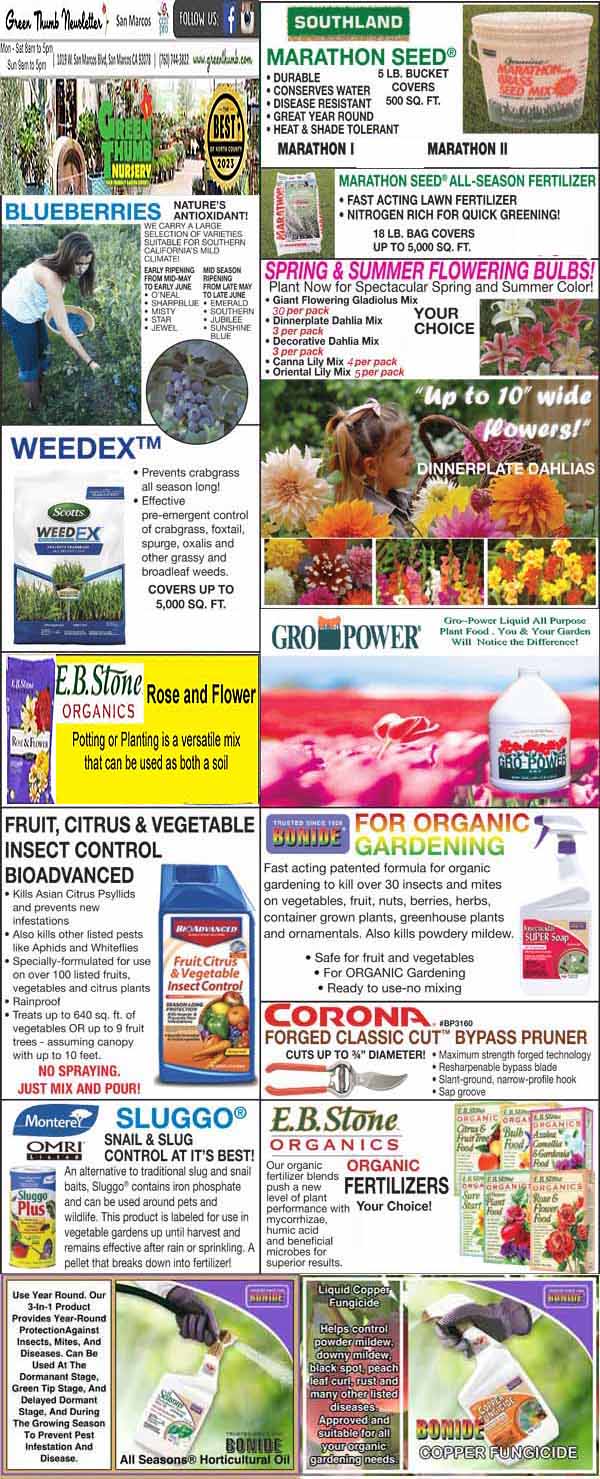 A close-up of a magazine.