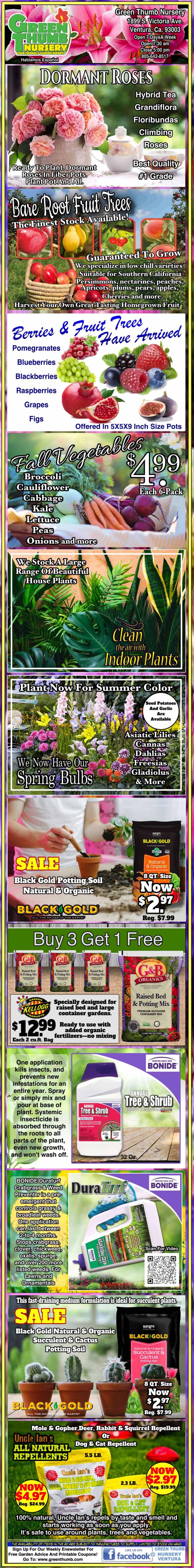 A collage of a flower pot.