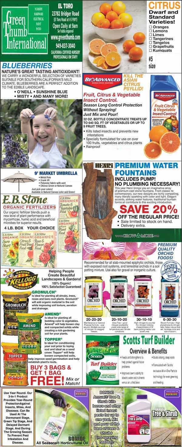 The front page of the green international magazine.