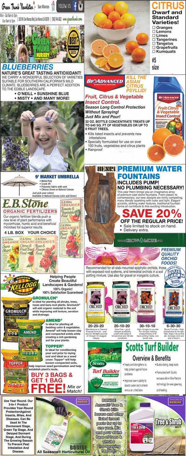 A close-up of a brochure.