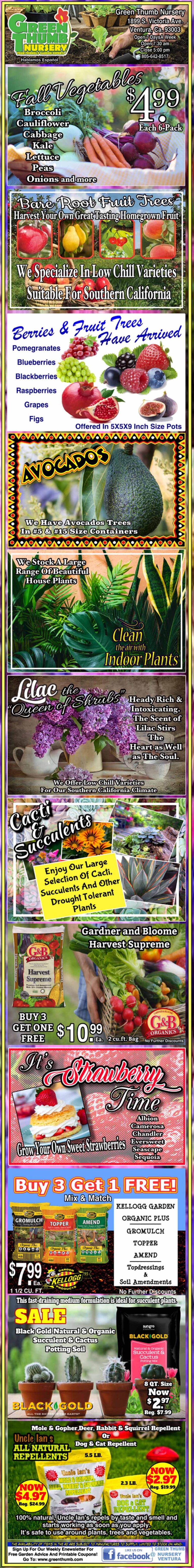 A poster with a lot of different pictures on it.