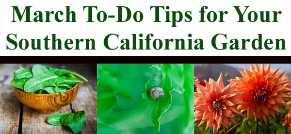 March to do tips for your southern california garden.