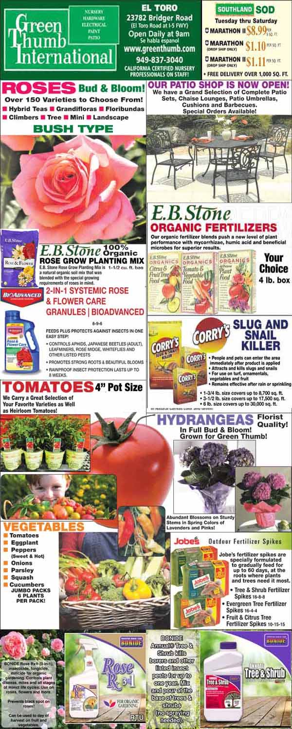Advertisement flyer showcasing various gardening products, such as seeds, soils, fertilizers, and plants, from green thumb international.