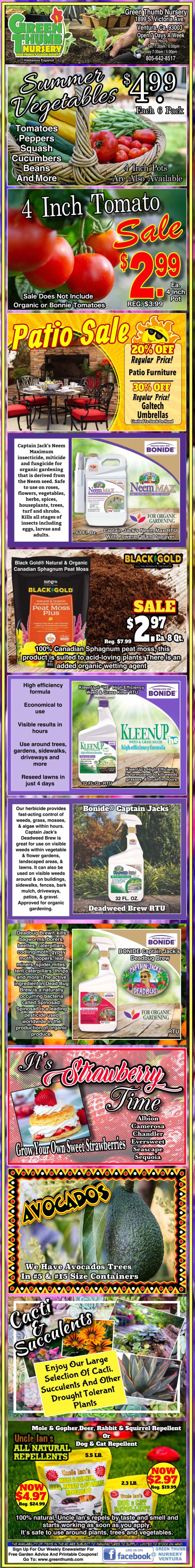 A detailed sales advertisement featuring various avocado trees, with pricing, descriptions, and images of avocados and mature trees. offers include soil and planting instructions.