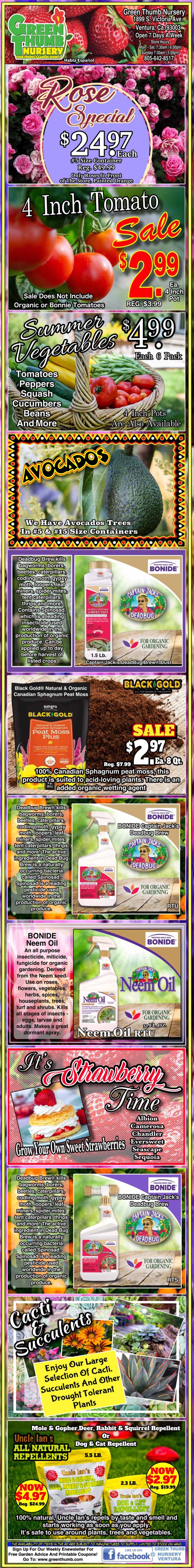 A vertical advertisement featuring various gardening and plant products, including offers on 4-inch tomatoes, avocado trees, neem oil, multiple fertilizers, blooming bouquets, and an order section with phone number.