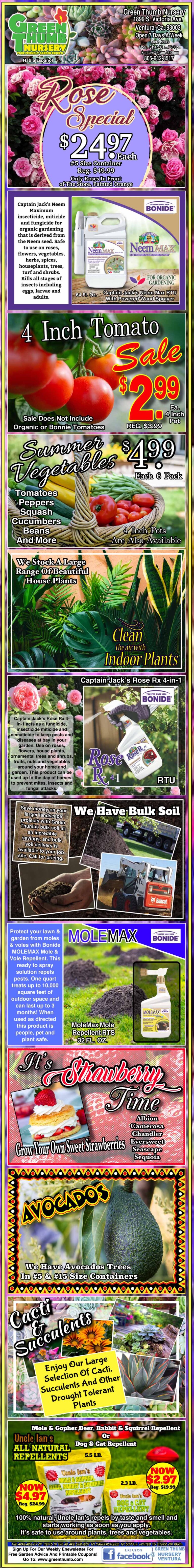 A colorful advertisement showcasing various plants, seeds, gardening accessories, and product prices, including roses, tomato plants, fertilizers, a garden grabber tool, mulch, avocados, and roses.