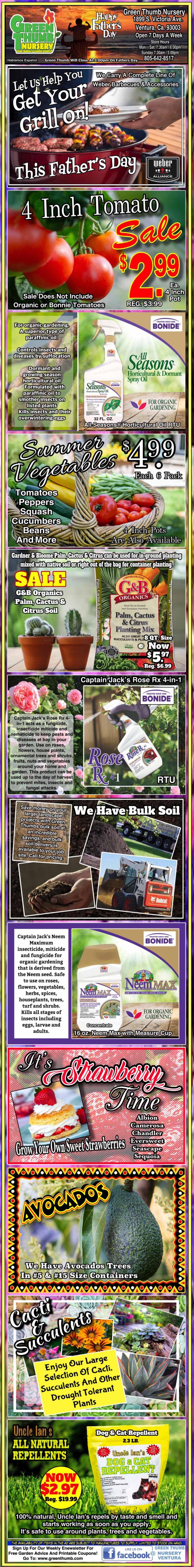 Flyer with various promotions for plants, gardening supplies, and Father's Day specials, featuring images of tomatoes, fruit pulp, garden chairs, and other horticulture-related products.