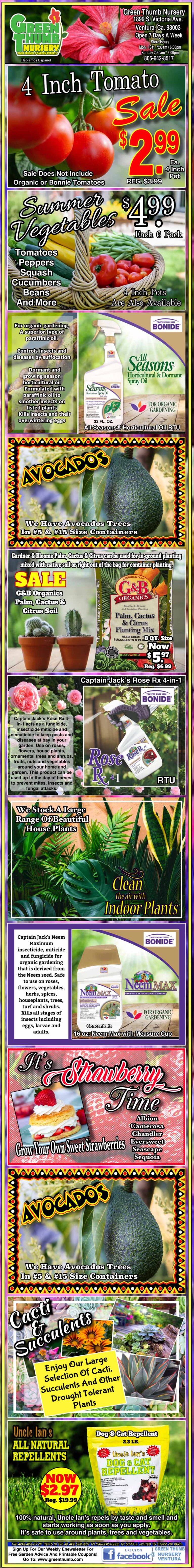 Colorful advertisement featuring discounted prices on various gardening supplies and plants, including tomatoes, avocados, pest control products, and fertilizers.