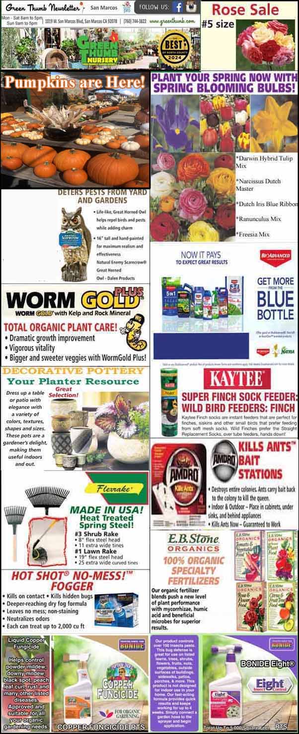 Collage of garden-related advertisements including pumpkins, worm compost, bird seed, pest control, and various plants and flowers for sale.