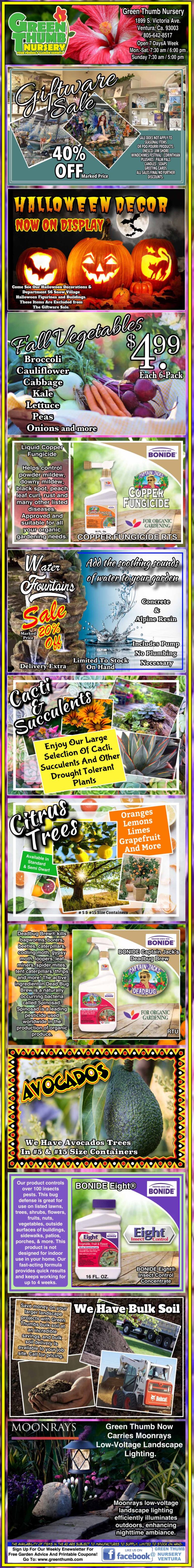 A colorful, vertical collage of various promotional offers and advertisements, including Halloween costumes, essential oils, discount codes, and avocado promotions, with bright and varied text styles and images.