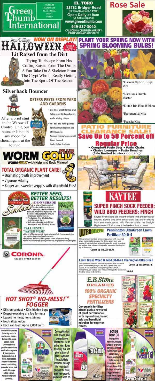 Promotional flyer for Green Thumb International featuring various gardening products and discounts, including pest deterrents, fertilizers, bulbs, and tools. Address and contact information provided.