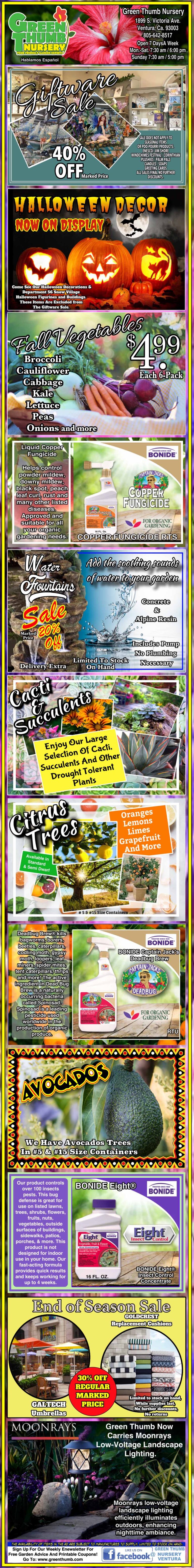 Colorful promotional flyer featuring various discounts and offers on plants, gardening products, and Halloween-themed items. Includes images of plants, pumpkins, a witch hat, and a haunted house.