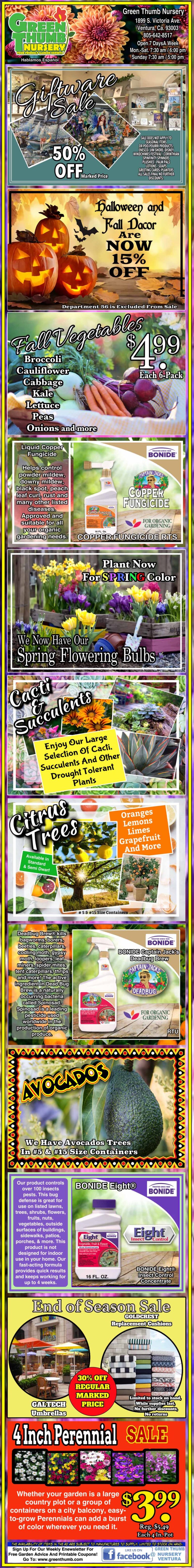 Colorful vertical garden center flyer advertising discounts on annuals, lilies, bulbs, succulents, fruit trees, avocados, blueberries, and 4-inch perennials, with images of plants and sale details.