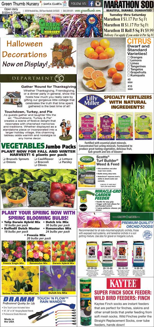 A colorful advertisement showcasing Halloween decorations, citrus trees, vegetables, specialty fertilizers, potting tools, and bird feed. Various promotions and images are displayed throughout.