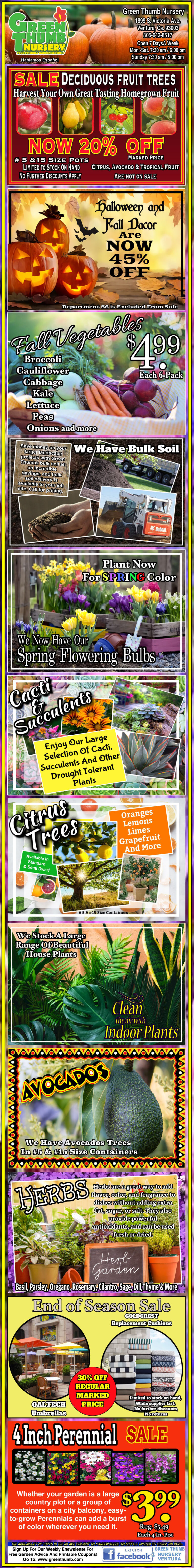 Colorful vertical flyer advertising fruit trees, grapes, berries, bulbs, seeds, succulents, and perennial plants. Includes sale prices and images of the plants.