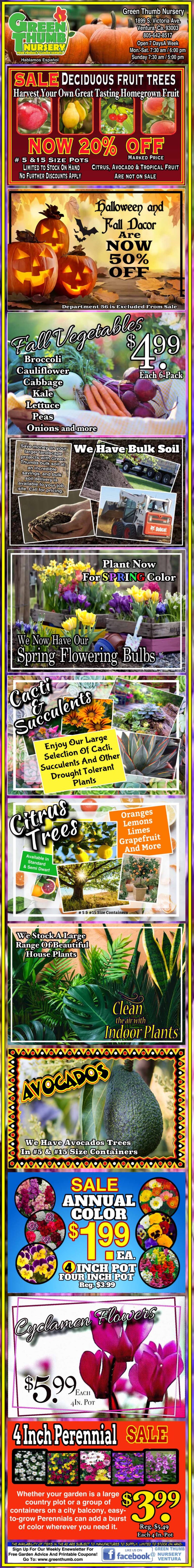 Colorful advertisement featuring fall fruit trees, succulents, flowering bulbs, tropical plants, and a perennial sale with various prices and discounts.