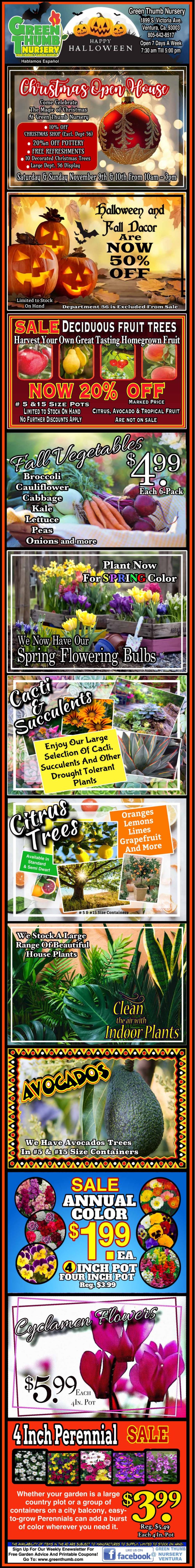 Vertical advertisement displaying various plants and gardening products, including fruit trees, flowers, bulbs, shrubs, and sale prices. Bright colors and bold text emphasize offers and discounts.
