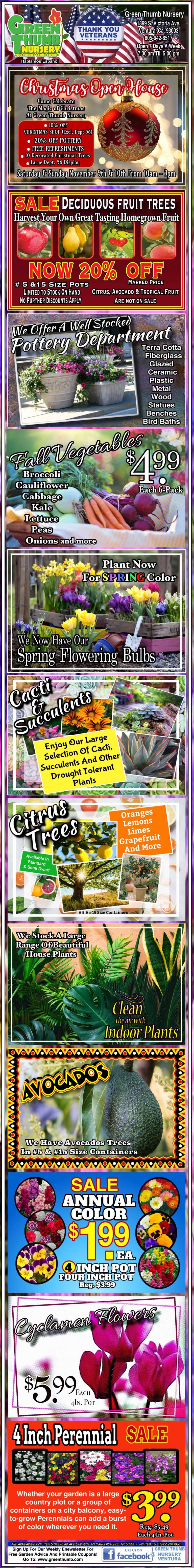 A tall advert showcasing various plants and gardening supplies, with colorful text and images of flowers and fruits. Offers include discounts on daylilies, succulents, fruit trees, and more.