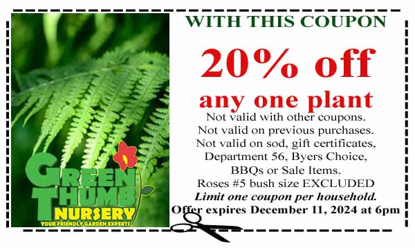 Coupon offering 20% off one plant at Green Thumb Nursery. Restrictions apply; offer expires December 11, 2024, at 6 PM.