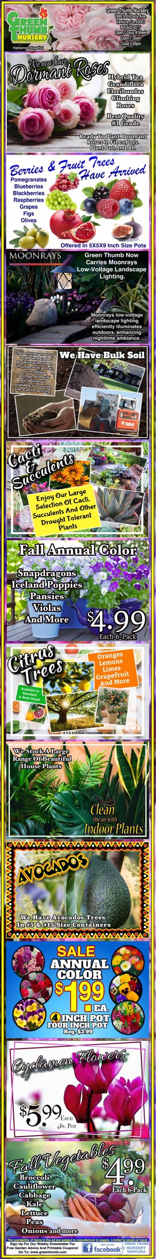 Colorful advertisement strip showcasing a variety of fruit trees, exotic plants, and related sales promotions with vibrant text and images.