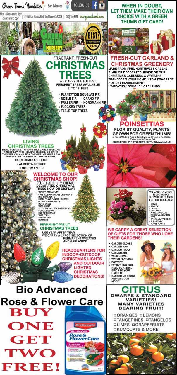 Newsletter featuring Christmas trees, garlands, poinsettias, and sales promotions. Includes images of trees, flowers, and a Bio Advanced Rose & Flower Care product offer.