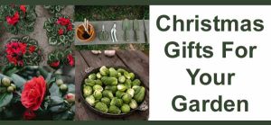 Collage showcasing gardening tools, red flowers, and Brussels sprouts with the text "Christmas Gifts For Your Garden.
