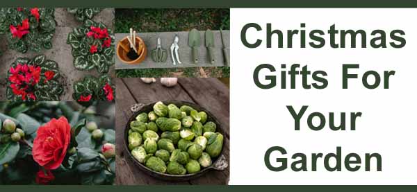 Collage showcasing gardening tools, red flowers, and Brussels sprouts with the text "Christmas Gifts For Your Garden.
