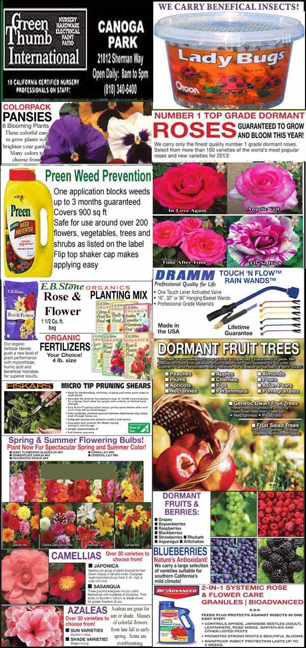 Promotional flyer for Green Thumb International nursery featuring products such as roses, weed prevention, ladybugs, planting mix, fertilizers, blueberries, camellias, and azaleas.