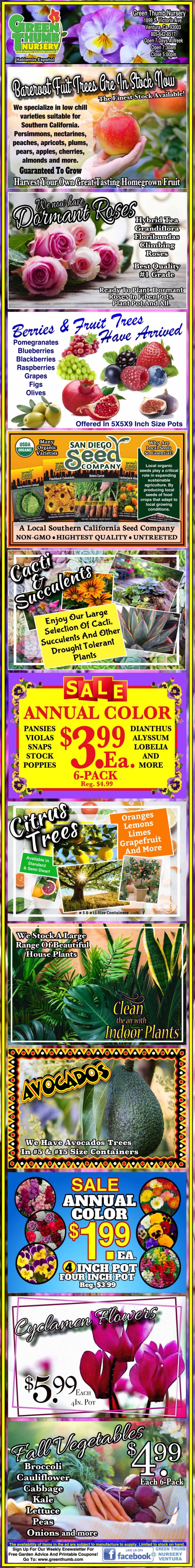 Colorful advertisement with various fruits, vegetables, and plant promotions. Includes images of onions, garlic, dragon fruit, avocados, and melons, highlighting discounts and prices.