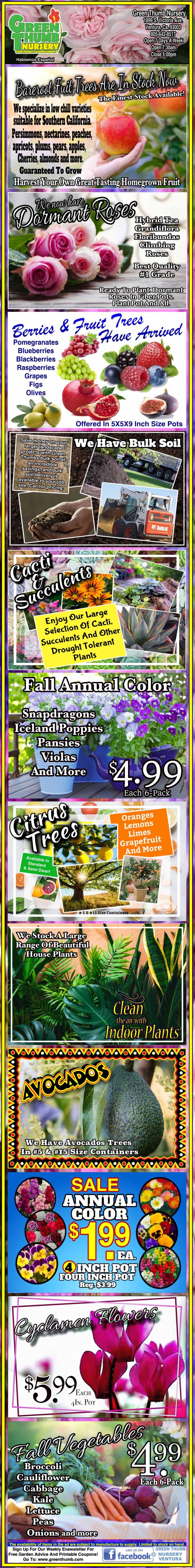 Promotional flyer featuring images and prices of fruits, plants, and orchids. Includes various discounts and deals. .