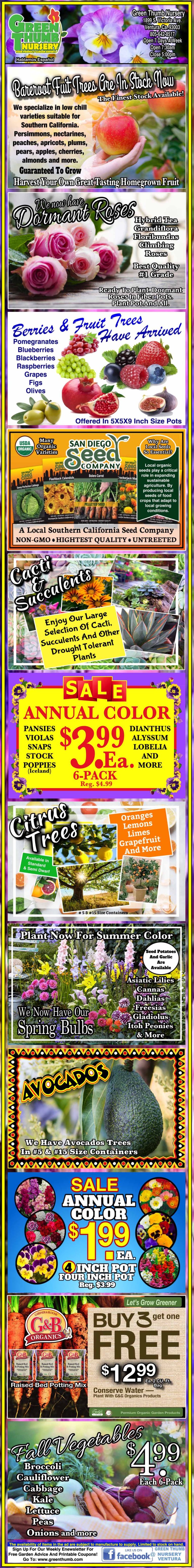 A promotional flyer featuring various seeds, plants, and gardening supplies, highlighting discounts and offers for items such as tulip bulbs, garlic, roses, garden mums, and strawberries.