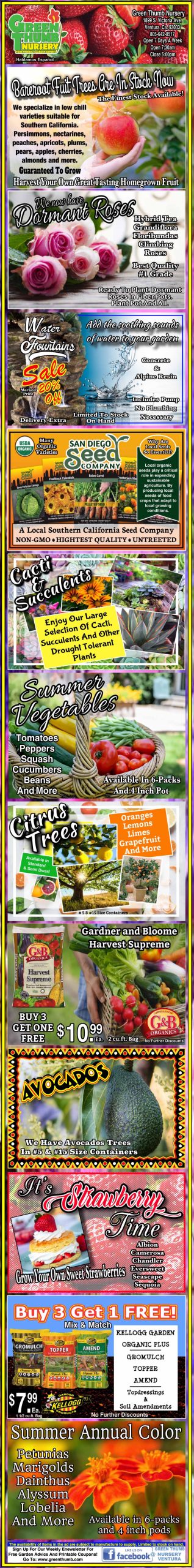 Colorful advertisement strip displaying various gardening products, including seeds, plants, fertilizers, and tools, with prices and colorful images of plants and produce.