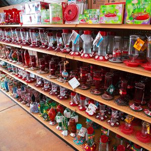 bird feeders 4 Shelves filled with various red and clear bird feeders and related products in a store.