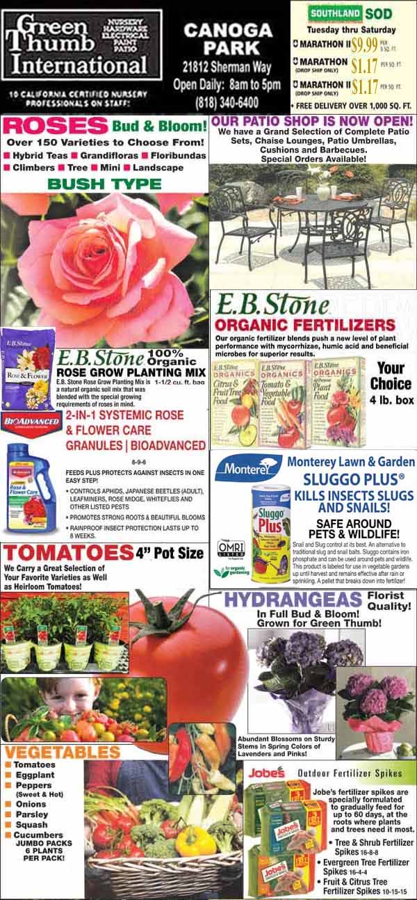 Advertisement for Green Thumb International nursery, featuring roses, patio furniture, gardening products, and various plants. Includes prices and product promotions.