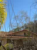 Rooftop of a beige house with red tiles, surrounded by trees. Bright blue sky in the background.
