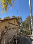 Street view of a residential house with a garage. A tall utility pole and trimmed tree are in the foreground, and a palm tree is visible against a clear blue sky.