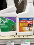 Two bottles of plant treatment products on a store shelf. The left bottle is labeled "Sucker Punch," and the right one is labeled "Sucker-Stopper RTU.