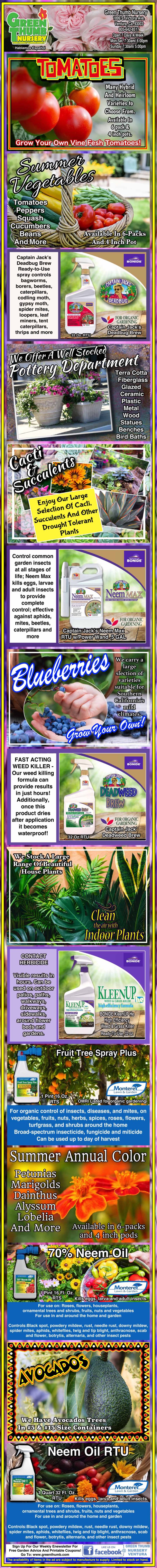 A colorful infographic details various fruits and vegetables, including tomatoes, cucumber, blueberries, kale, carrots, and avocados, highlighting health benefits and nutritional information for each.