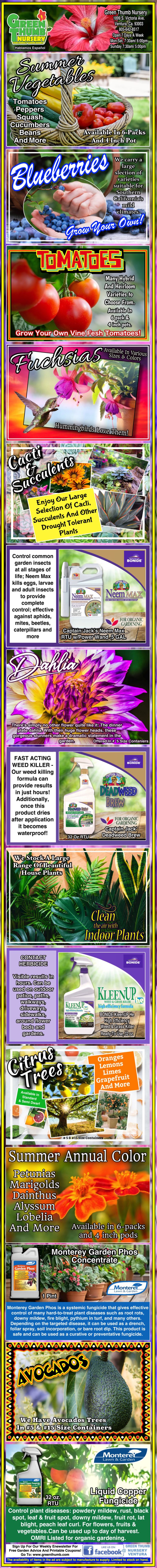 Infographic listing various gardening fertilizers and products, each with colorful images of plants, product bottles, and descriptive text boxes detailing usage and benefits.