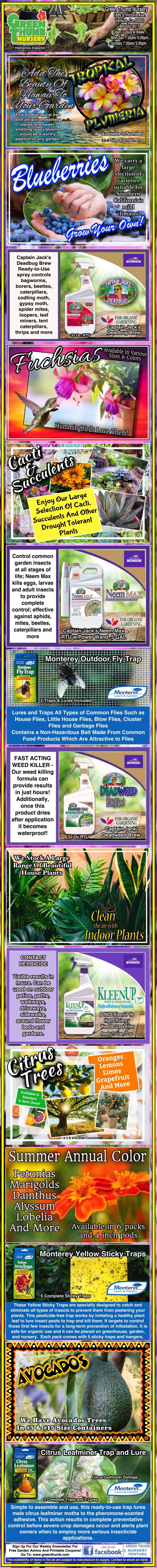 Vertical infographic featuring various fertilizers for blueberries, including images of products, description of their benefits, application instructions, and photos of blueberry plants and fruits.