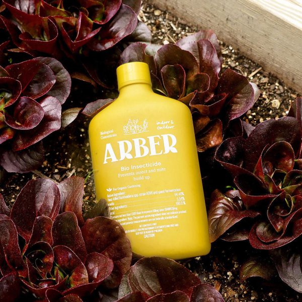 A yellow bottle of Arber bio insecticide lies on soil among dark red leafy plants in a garden bed.