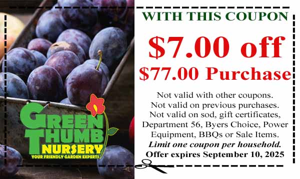 Coupon for $7 off a $77 purchase at Green Thumb Nursery, with terms and expiration date of September 10, 2025, displayed beside a basket of plums.