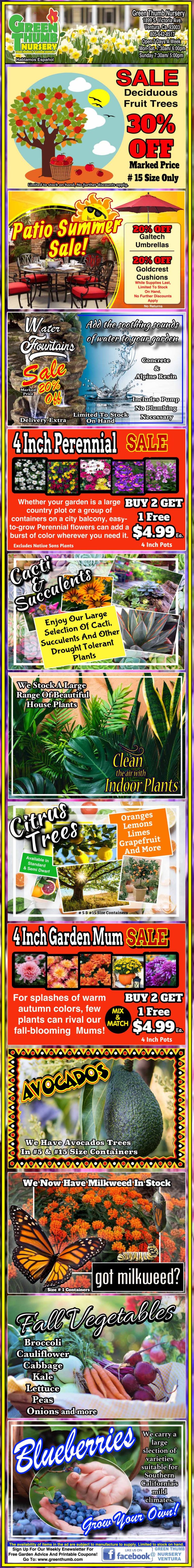 Colorful vertical garden center advertisement displays tree sale, perennial and mum deals, produce like avocados and blueberries, and autumn-themed promotions with bright text and plant images.
