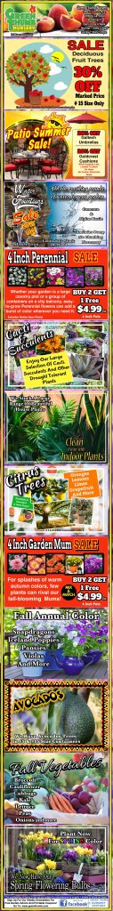 Colorful advertisement for a garden center featuring sales on trees, perennials, houseplants, mums, succulents, fall vegetables, fall decor, and spring flower bulbs.