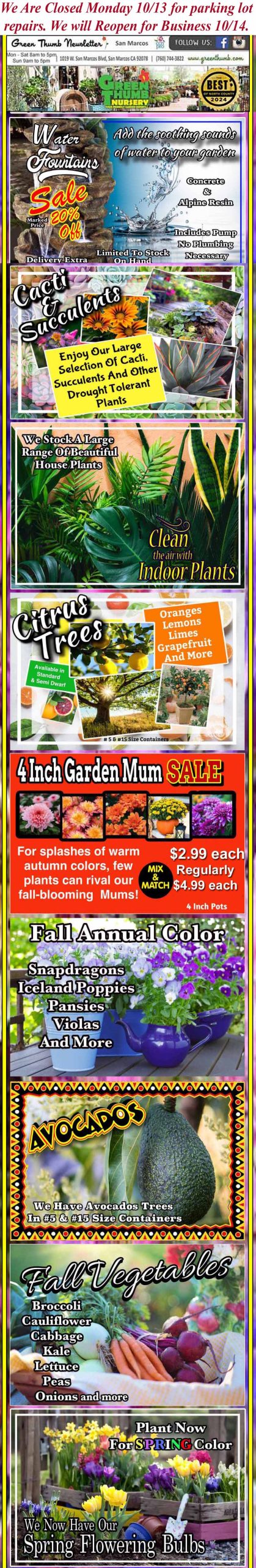 Colorful promotional flyer for a garden center advertising garden mums, tropicals, succulents, cacti, indoor plants, animal corral, spring bulbs, and a fall safari event.